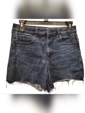 American Eagle Outfitters Dark Blue Denim Shorts